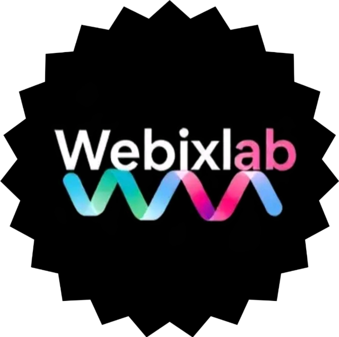 WebIXLab Logo